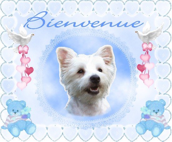 Image du Blog psp8.centerblog.net